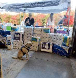 Office Puppy watches donations for Homeless Community
